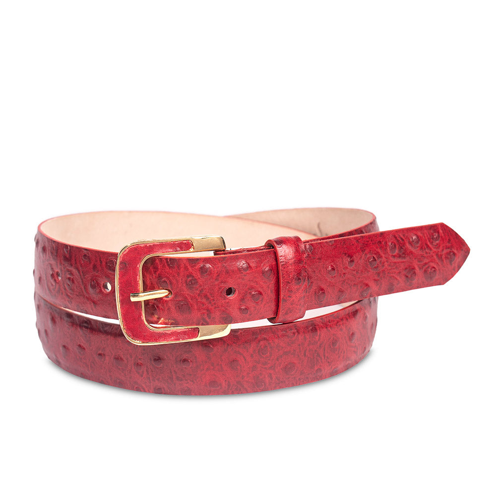 SELVA ROJO