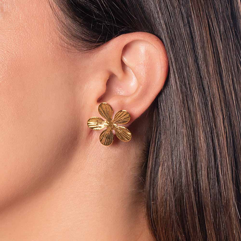 ARETES LINA