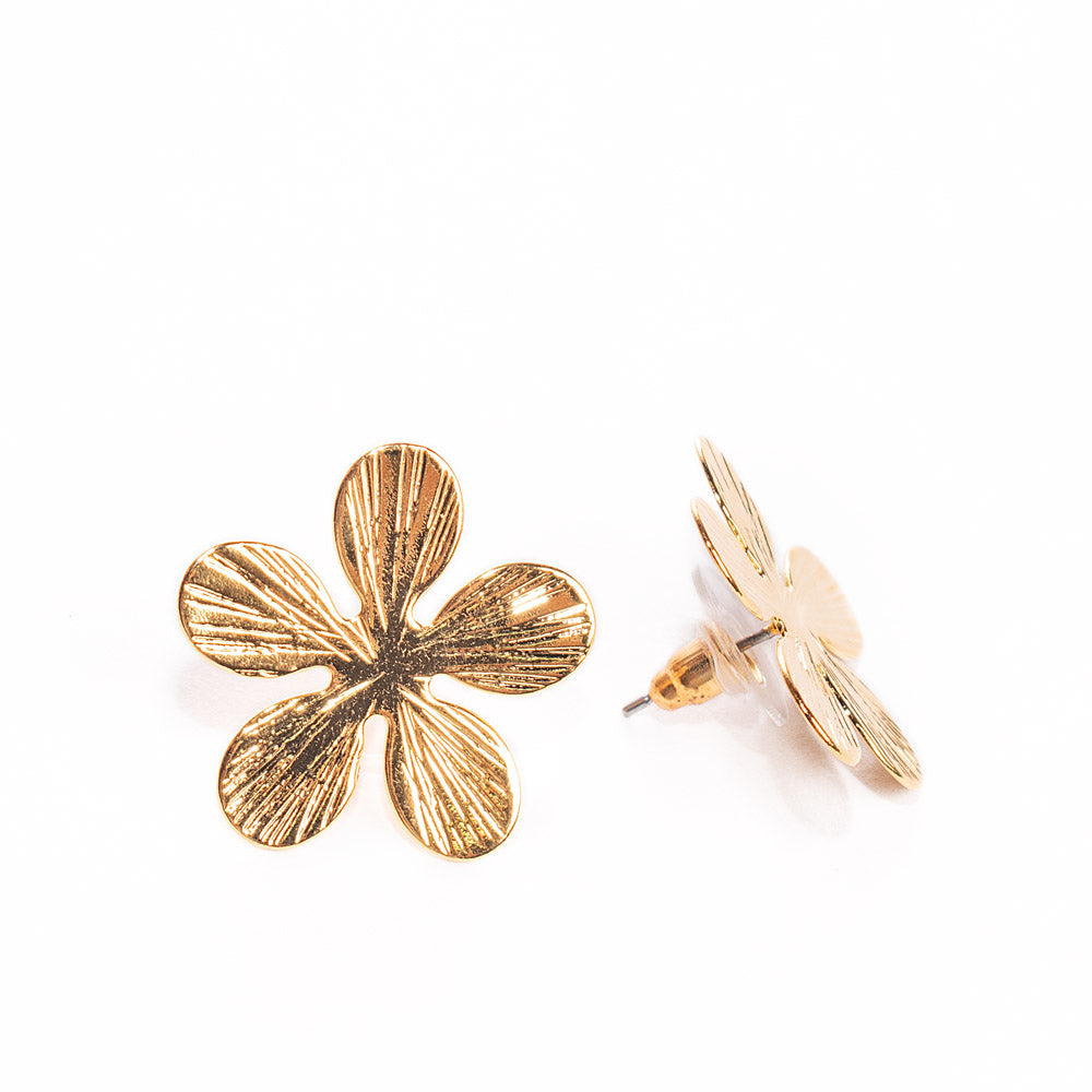 ARETES LINA